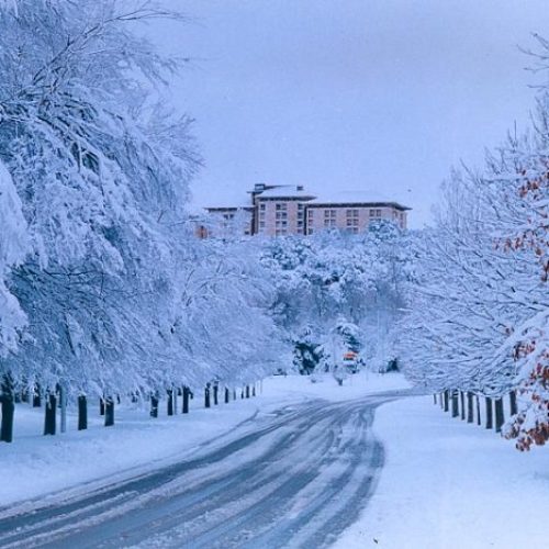 Ifrane-neige-miage-casa-janv-2018