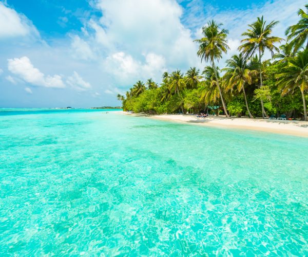 Beautiful tropical Maldives island with beach , sea , and coconut palm tree on blue sky for nature holiday vacation background concept -Boost up color Processing